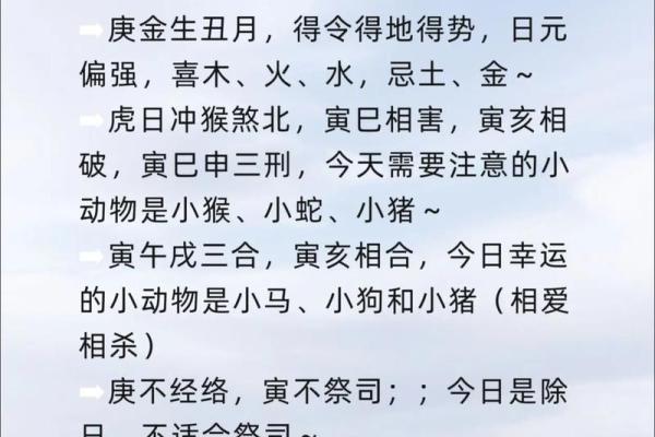 八字四柱乙亥好不好