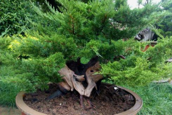 家中破旧东西处理风水 家中破旧东西处理风水