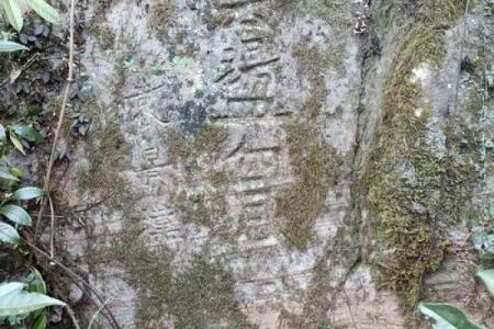 广东这边有算命的吗知乎