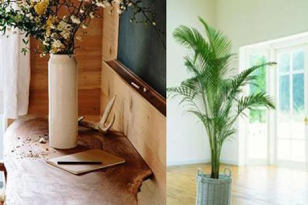 家中破旧东西处理风水