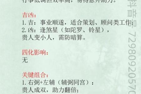 紫微星入命宫与其他星曜之关系分析#紫微斗数教学