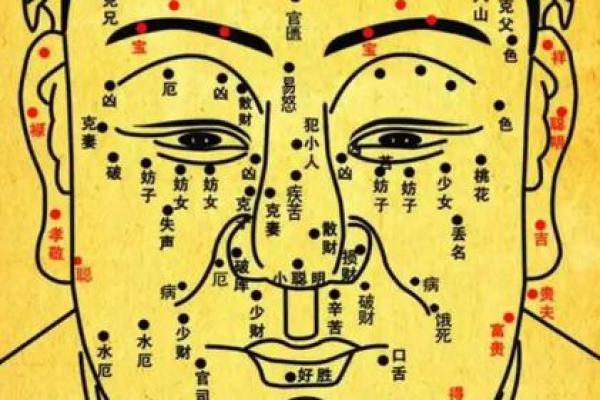 耳朵算命耳朵看运势大全,耳朵命运图解 耳朵算命耳朵看运势大全,耳朵命运图解