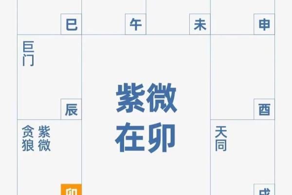 紫薇斗数元贞利 紫薇斗数元贞利