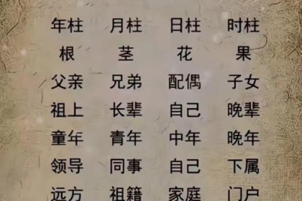八字四柱代表 八字四柱代表