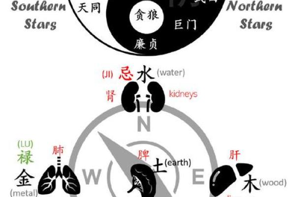 紫微斗数之命宫四化飞星是什么意思？