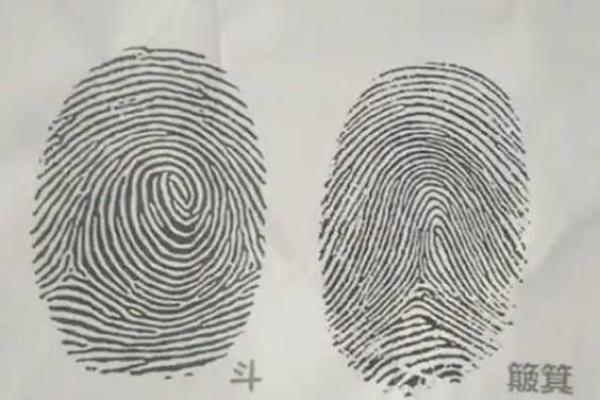 农村老人常说,手上簸箕和斗的数量能决定人的运!是真的吗? 农村老人常说,手上簸箕和斗的数量能决定人的运!是真的吗?