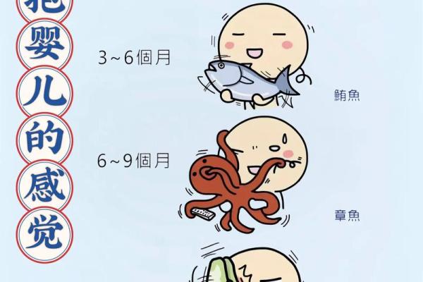 抱养孩子的八字命理 抱养孩子的八字命理