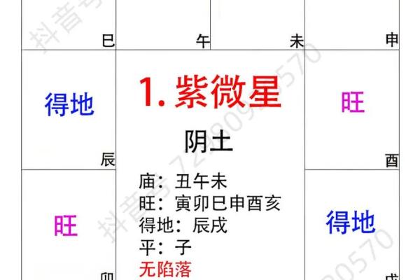 紫微斗数副曜 紫微斗数 副星？