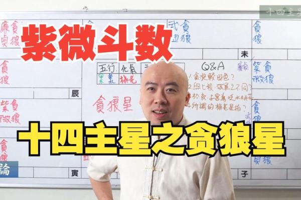 紫微斗数－贪狼星