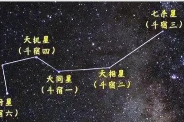 紫薇斗数主星组合