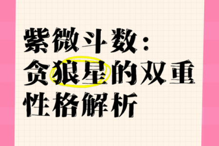 紫微斗数－贪狼星