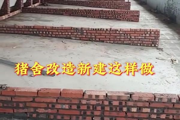 农村猪圈风水 农村猪圈风水布局 农村猪圈风水 农村猪圈风水布局