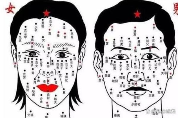 六害眉面相算命图解