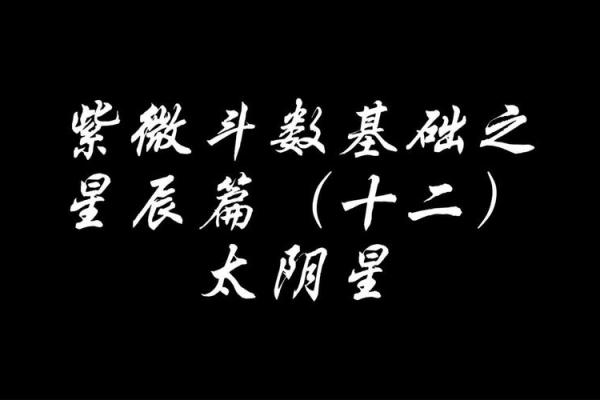 紫薇斗数太阴太阳代表 紫薇斗数太阴太阳代表