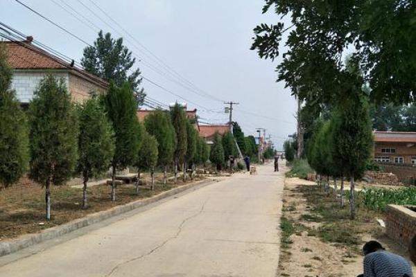 襄垣背里算命图片