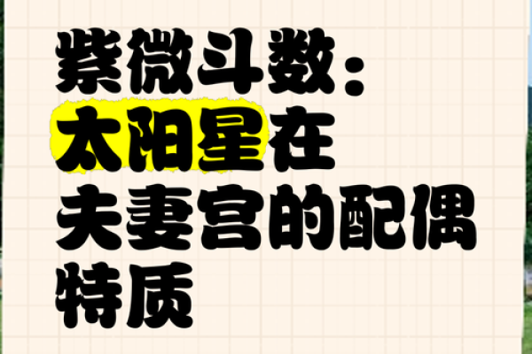 紫微斗数太阳 紫微斗数太阳落陷？