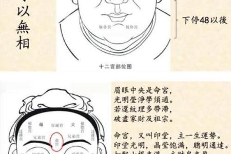 六害眉面相算命图解
