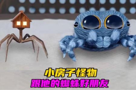 房子上面有大蜘蛛好吗风水