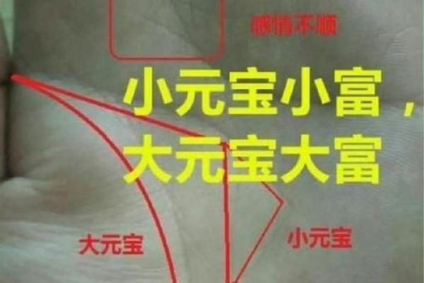 算命的说，手腕上有这样的纹路，一定会破财！