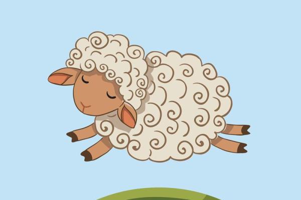 属羊.八字 属羊.八字