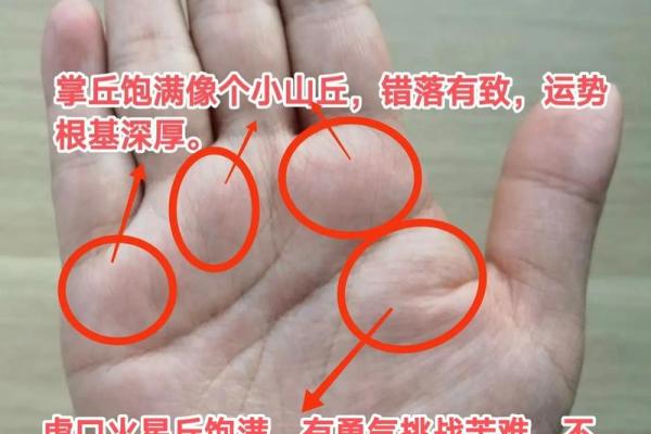 算命说我根基深厚啥意思 算命说我根基深厚啥意思