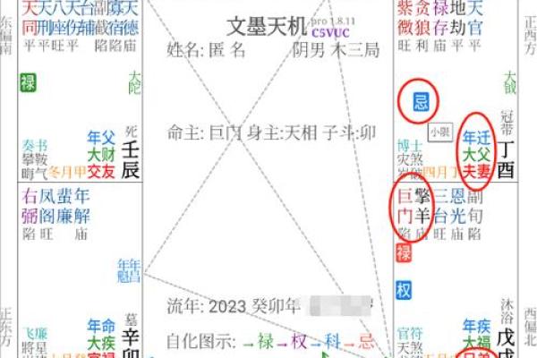 东京紫薇斗数入门 东京紫薇斗数入门