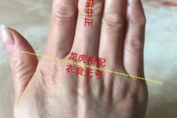 看男人手相算命图解 中指长的会富贵