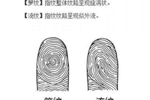 指纹算命 十指指纹算命查询 指纹算命 十指指纹算命查询