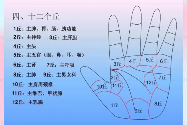指纹算命 十指指纹算命查询 指纹算命 十指指纹算命查询