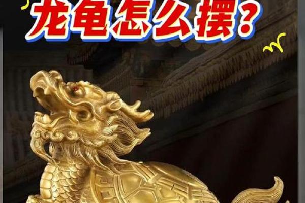 风水龙龟有什么作用的摆放方法及禁忌