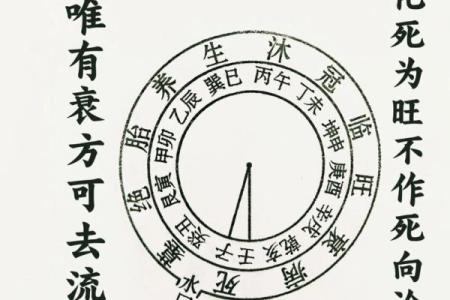 八字命理中金和水相配吗