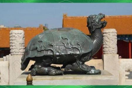 风水龙龟有什么作用的摆放方法及禁忌
