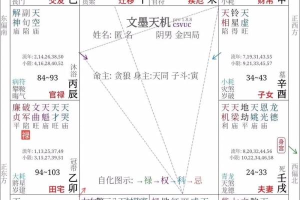 紫薇斗数算要付费