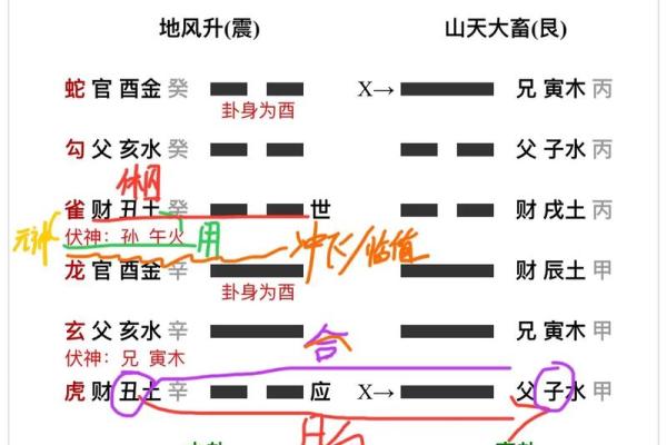 南阳算命,南阳哪算命的准