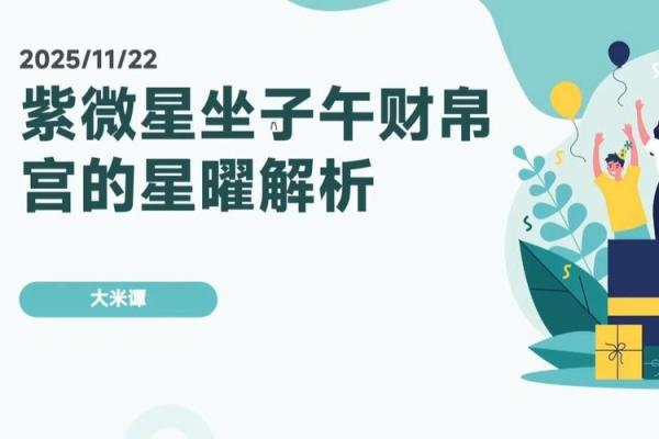 紫薇斗数财帛星