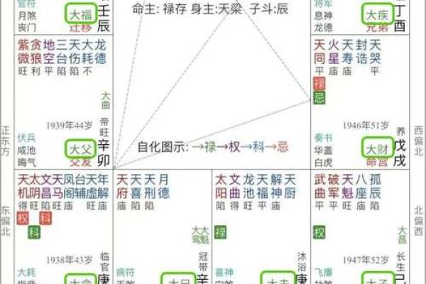 紫薇斗数限羊 紫薇斗数限羊