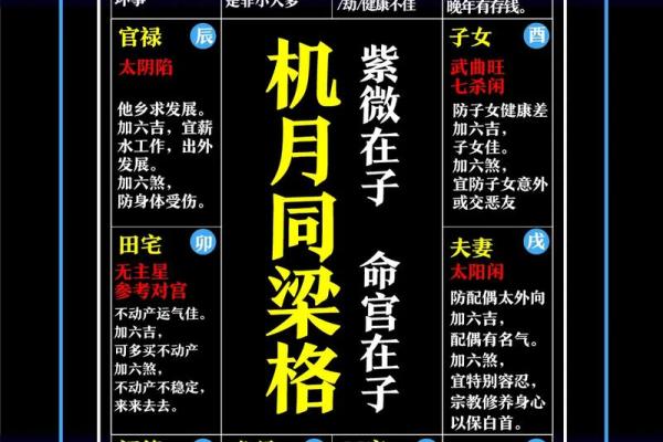 紫薇斗数与紫薇星盘 紫薇斗数与紫薇星盘