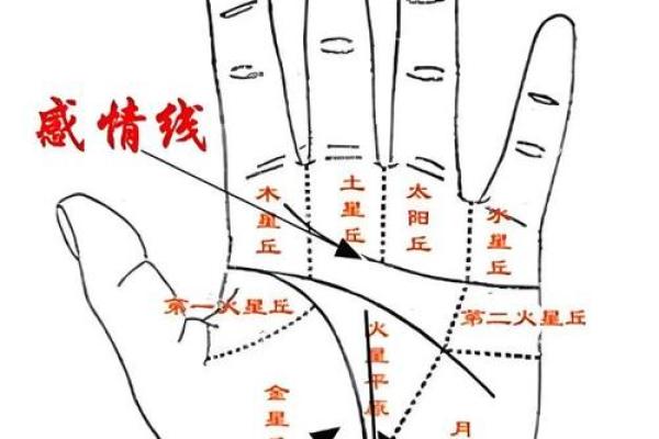 手纹线看相 手纹看相算命图解 手纹线看相 手纹看相算命图解