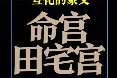 紫薇斗数测股票