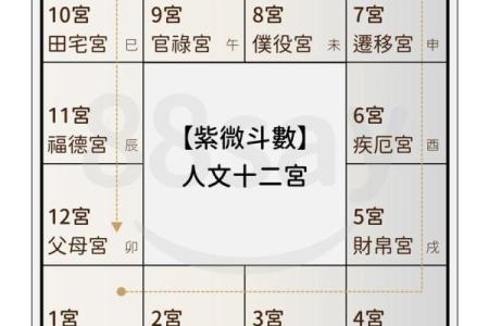 紫薇斗数与紫薇星盘