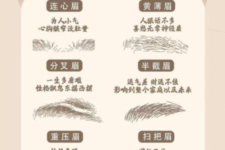 八字眉生肖