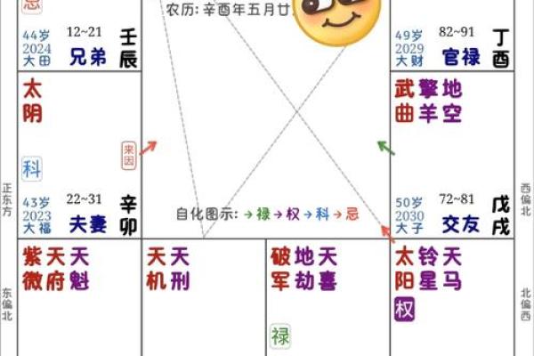 紫薇星入命宫，唐艺尹老师独家分析