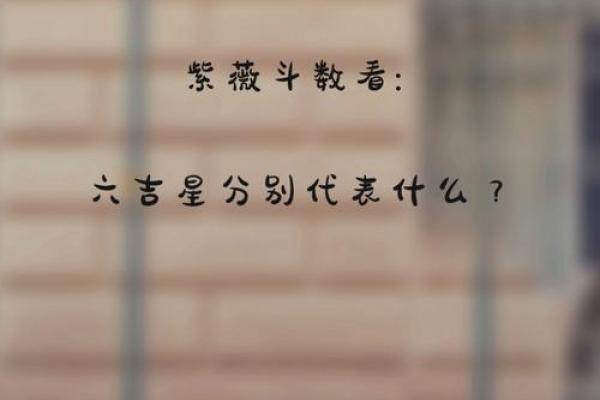 紫薇斗数文曲 紫薇斗数文曲