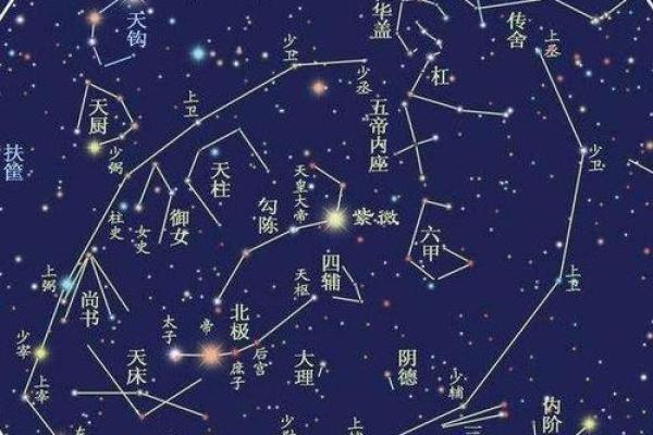 紫薇星君转世动画