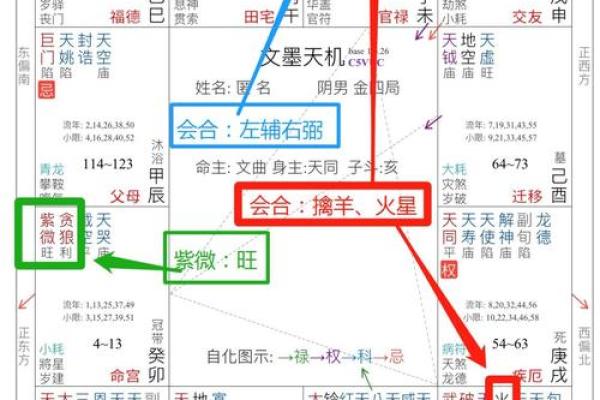 飞星紫微斗数原旨（斗数观测录）