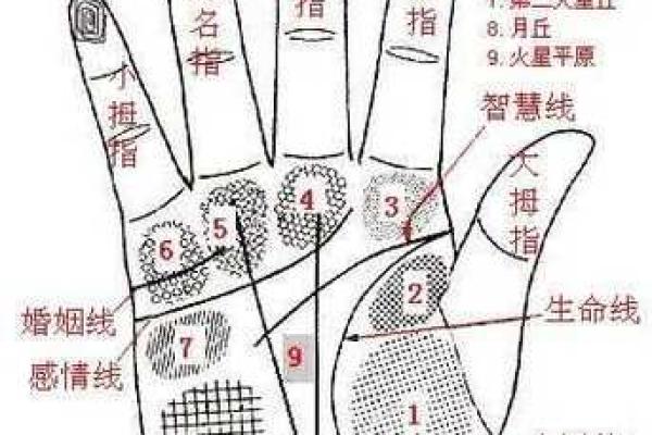 怎么看手相算命，怎么看手相算命图解
