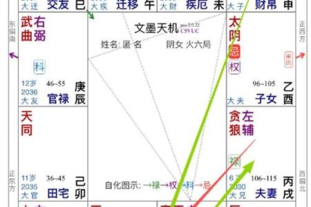 紫薇星入命宫，唐艺尹老师独家分析