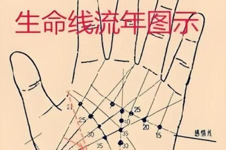 八字人生运势曲线图