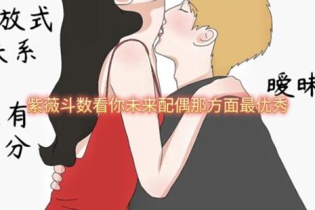 紫薇斗数太阳夫妻