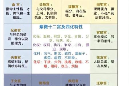 紫微斗数正统 紫微斗数!？